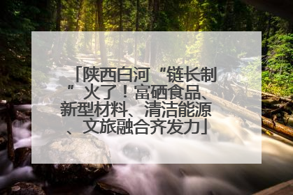陕西白河“链长制”火了！富硒食品、新型材料、清洁能源、文旅融合齐发力